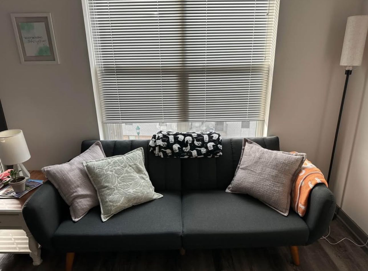 Wayfair Couch