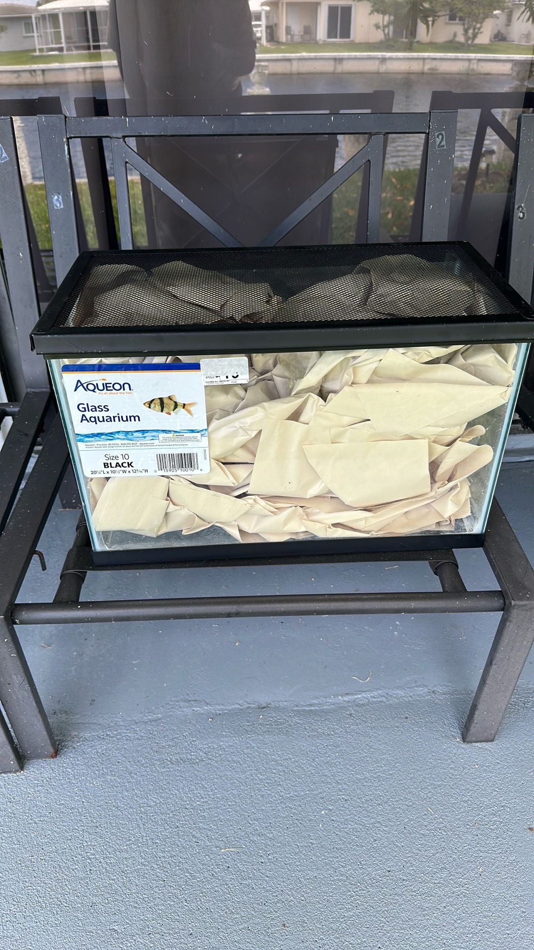 10 gallon fish tank with fish