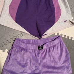 Women’s Shorts And Skirt Size Large 