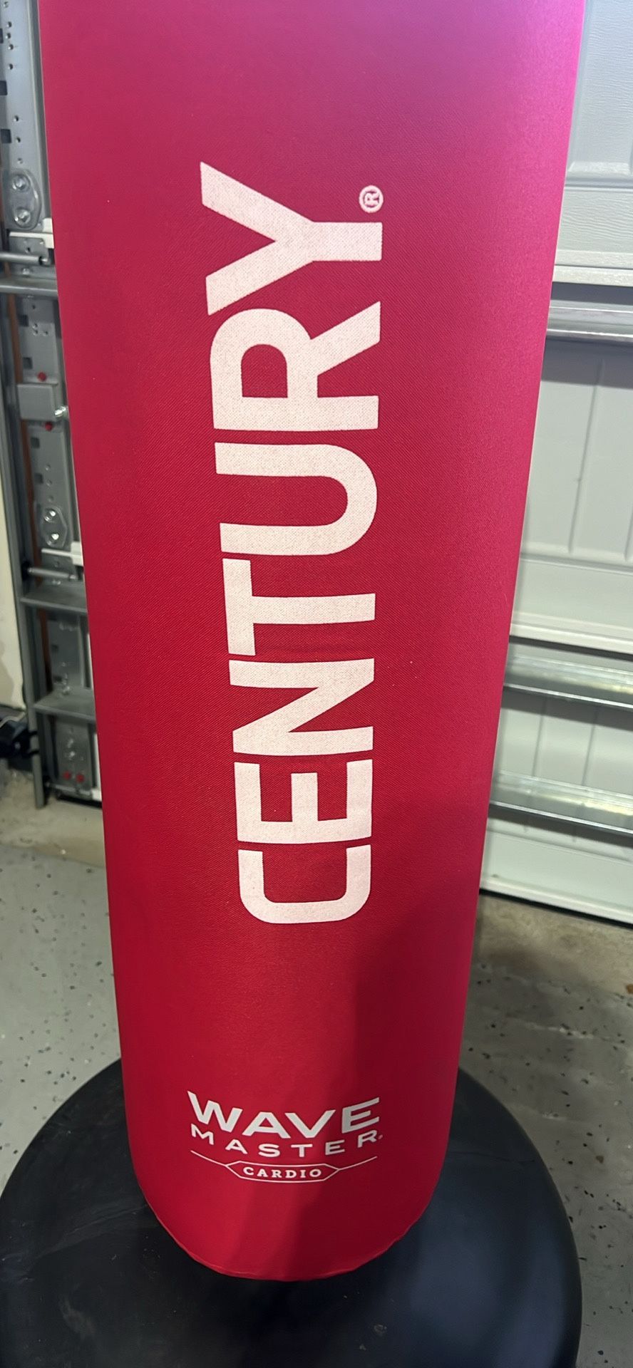 Kick Boxing / Punching Bag