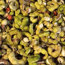 Guamuchiles 