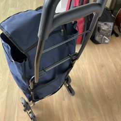 Collapsible trolly Dolly
