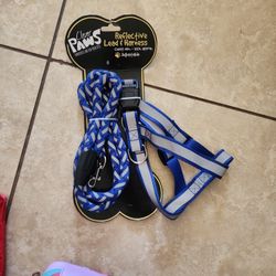 Reflective Lead And Harness