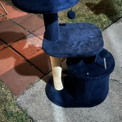 Cat Scratching Post