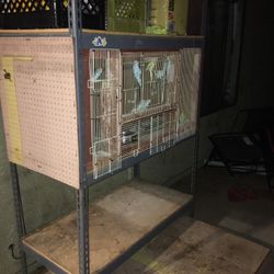 Bird Cage