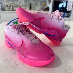 Nike LeBron 22 “I Promise”