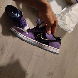 Nike SB Dunk Hailey Wilson