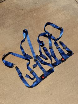 Racing harness seatbelts 4 point
