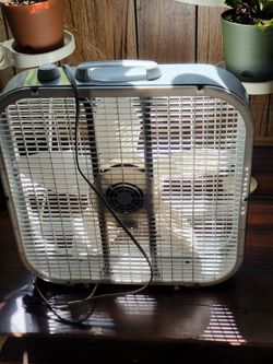 Fan