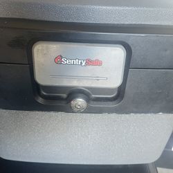 Sentry Safe