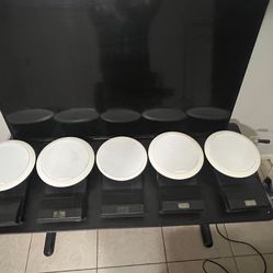 Bose Speakers 5