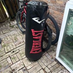 Everlast punching bag 