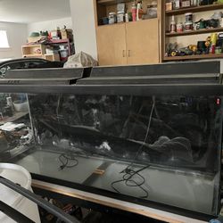 50 Gallon Aquarium