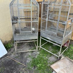 Bird Cages 