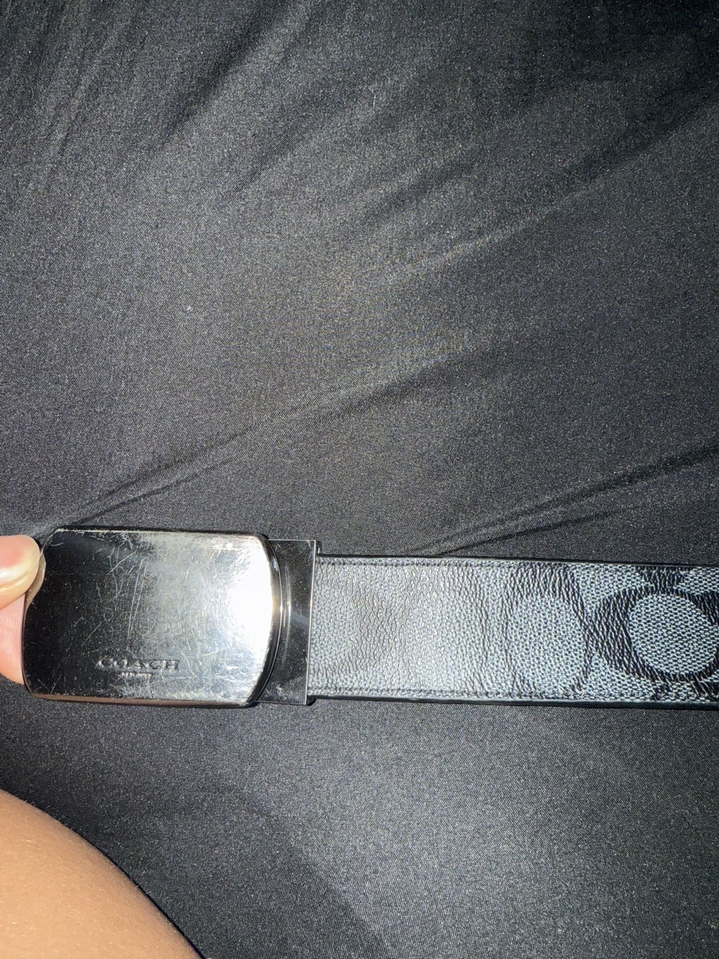 Coach Belt