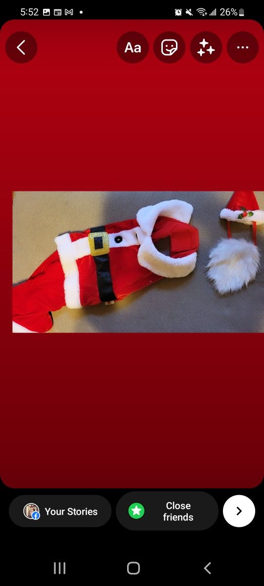 Santa Costume For Medium Dog