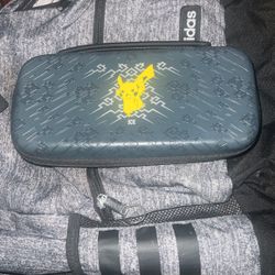 Nintendo switch Case