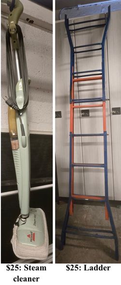 Steam cleaner and ladder