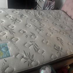 Large Mattress 