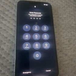 Blue Apple Iphone 14 Plus