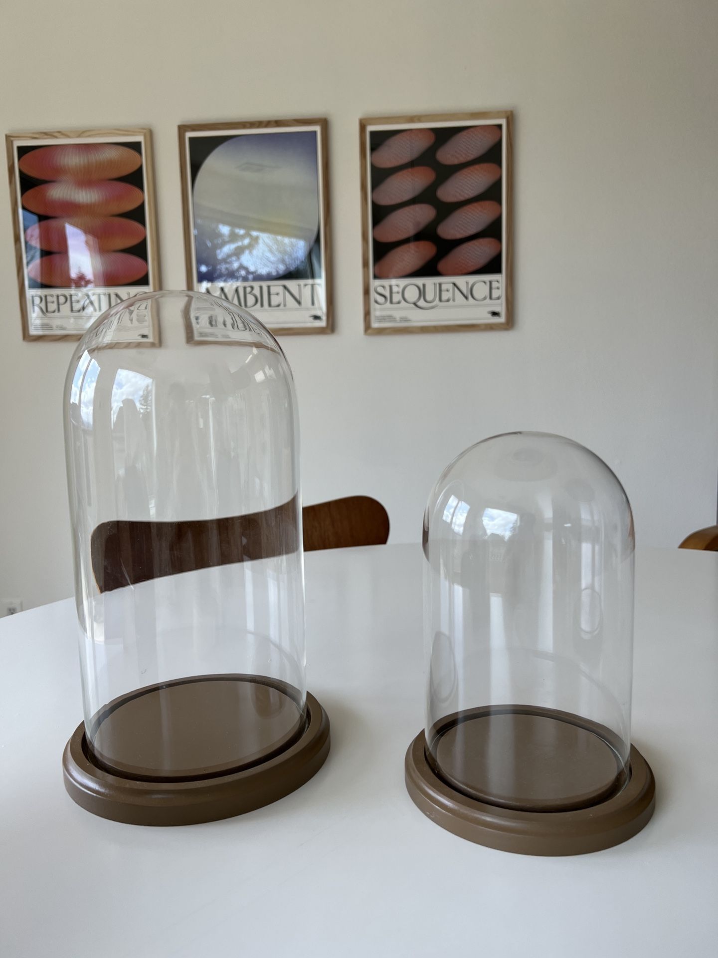 Bell Jars With Wood Base - Set Of 2