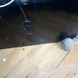 TCL Flat Screen Roko Tv