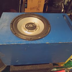10-in Custom Handmade Ported Box With A Phoenix Gold Octane Are 10-in Subwoofer