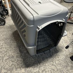 Dog and Cat Kennel