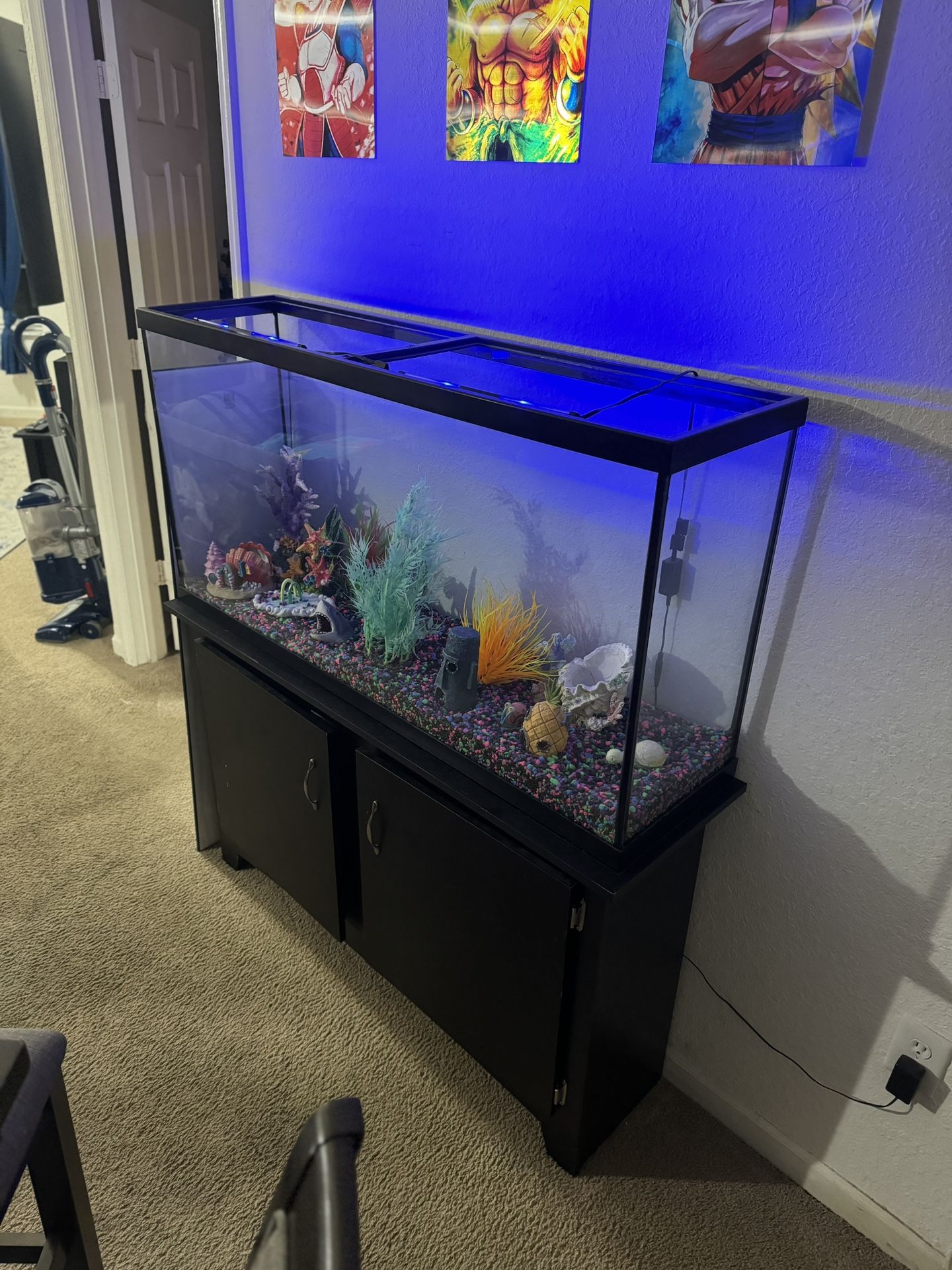 Fish Tank 60” With Dresser Counter