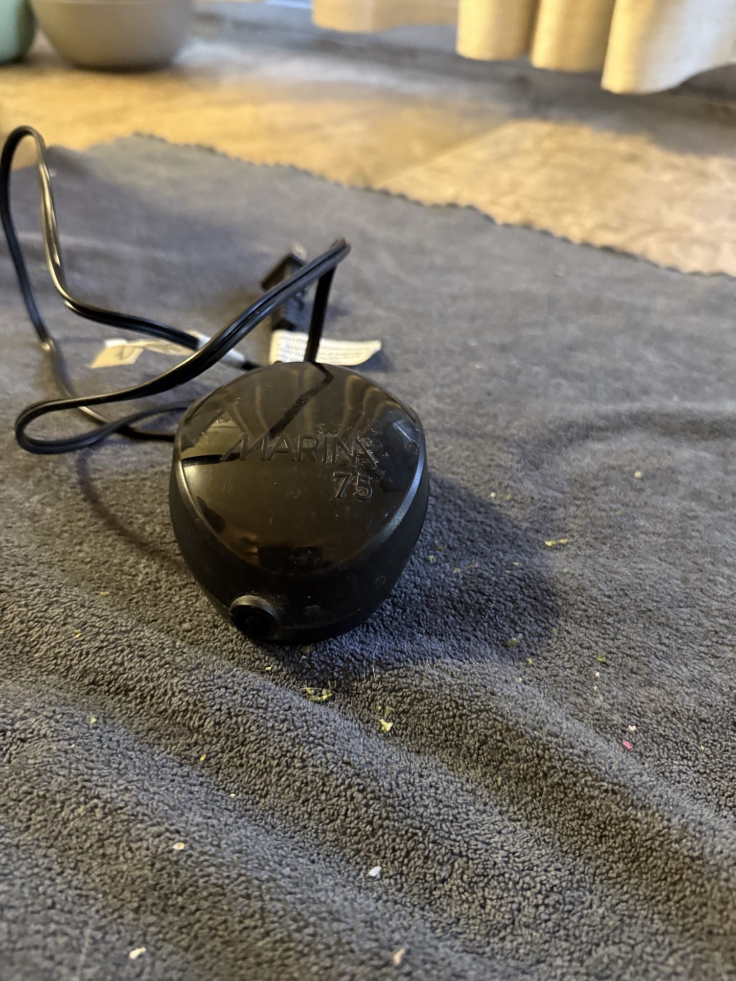 Air Pump And Bubbler