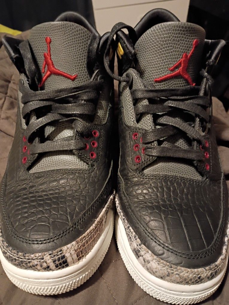 Air Jordan 3 Retro SE "Animal Instinct 2.0"