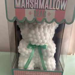 Mashallow Teddy Bear 🧸 A variable