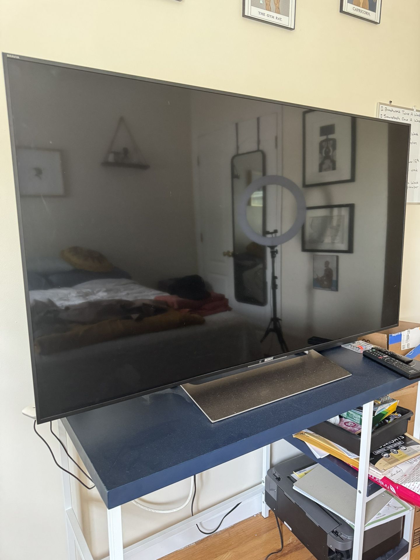 Sony 55” 4K Smart TV (XBR-55X900E) – $300 (Pickup Only)
