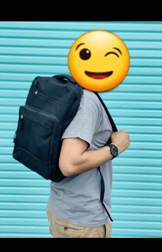 Backpack/ Laptop Carry Bag