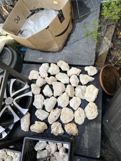 Piedras Porosa De San Lázaro