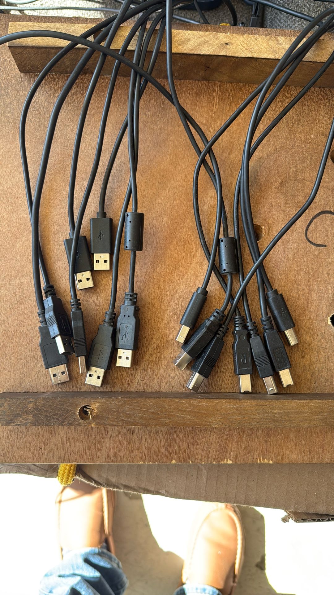 USB A/B Device Cable - USB cable - USB (Male) to USB Type B (Male) - 6 ft