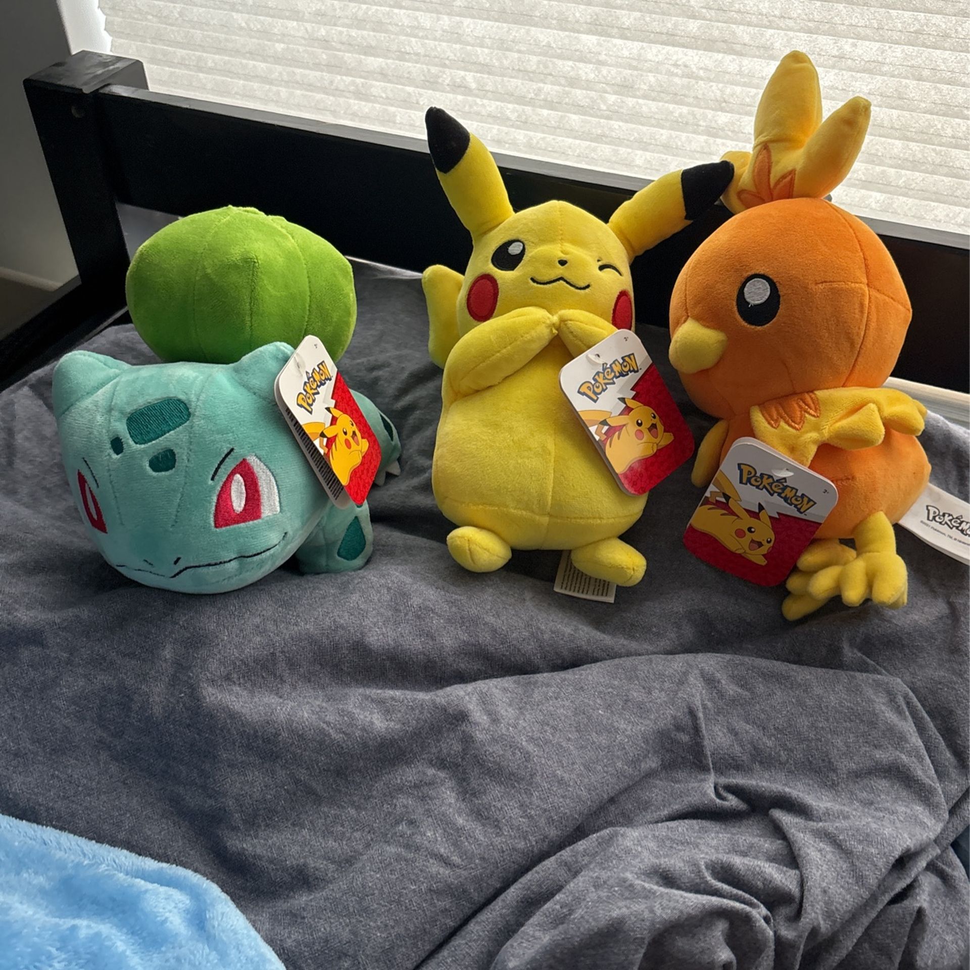 Pokémon Plushies 
