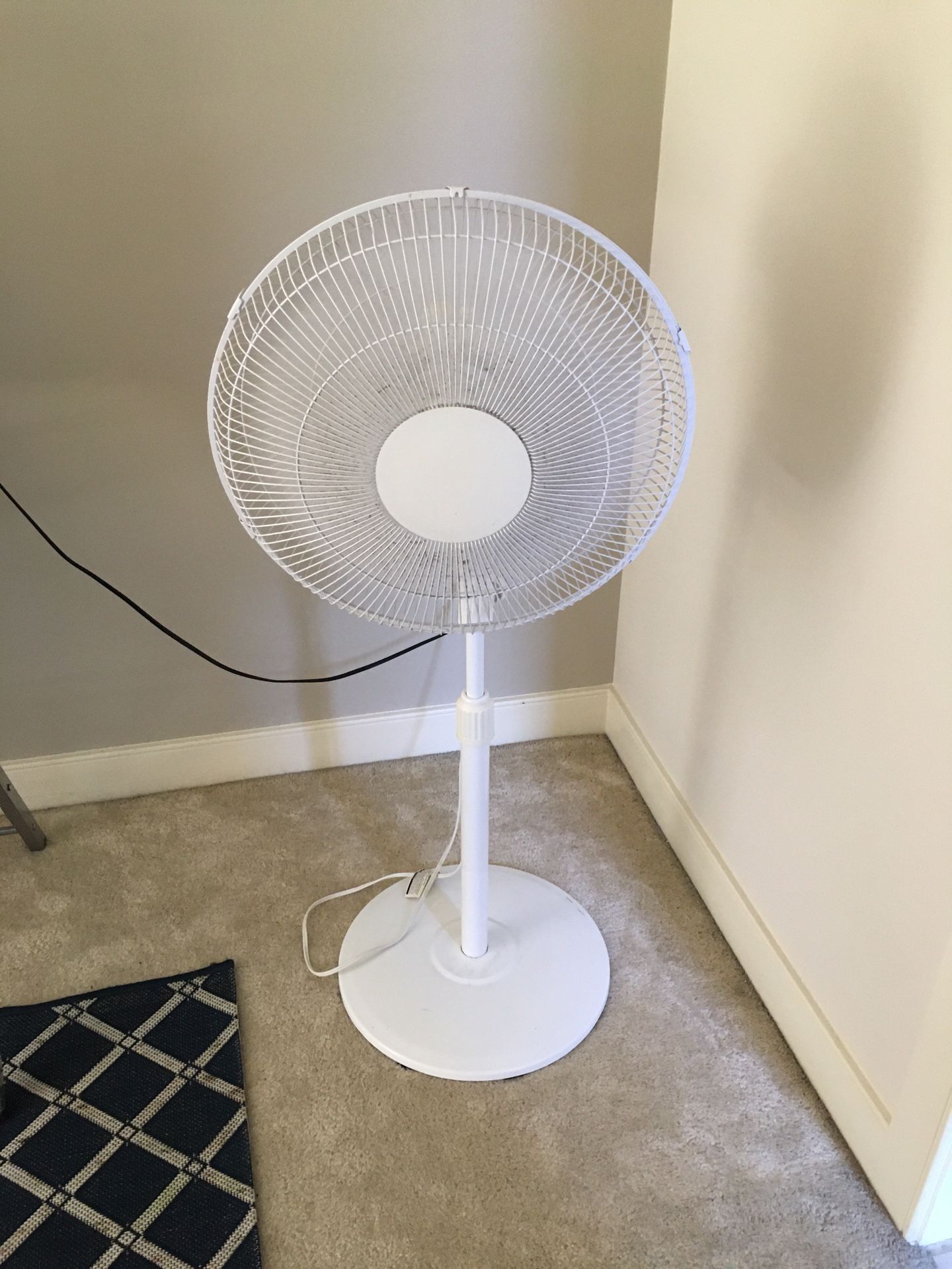 Nice Lasco Fan