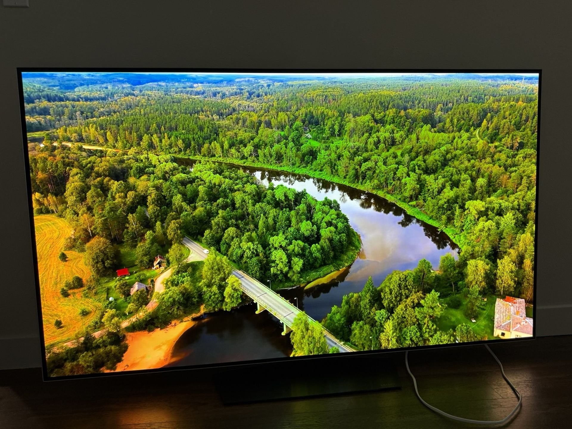 LG OLED 