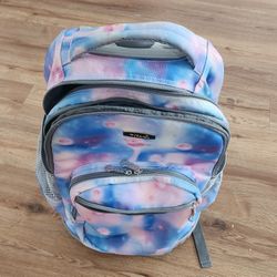 Backpacks 2 With Wheels One Carry On $20.00 Each