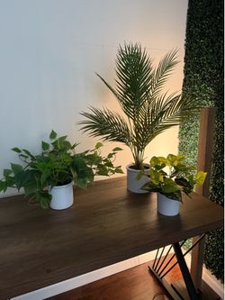 Set of (5) Fake Plants