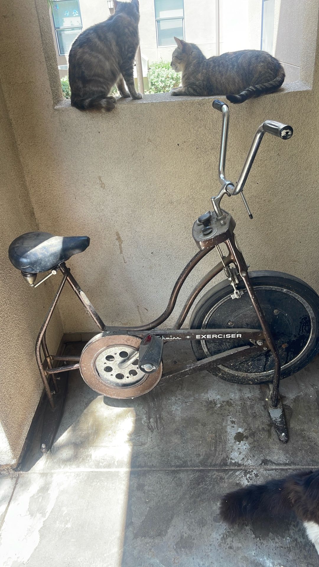 Exercise Bike