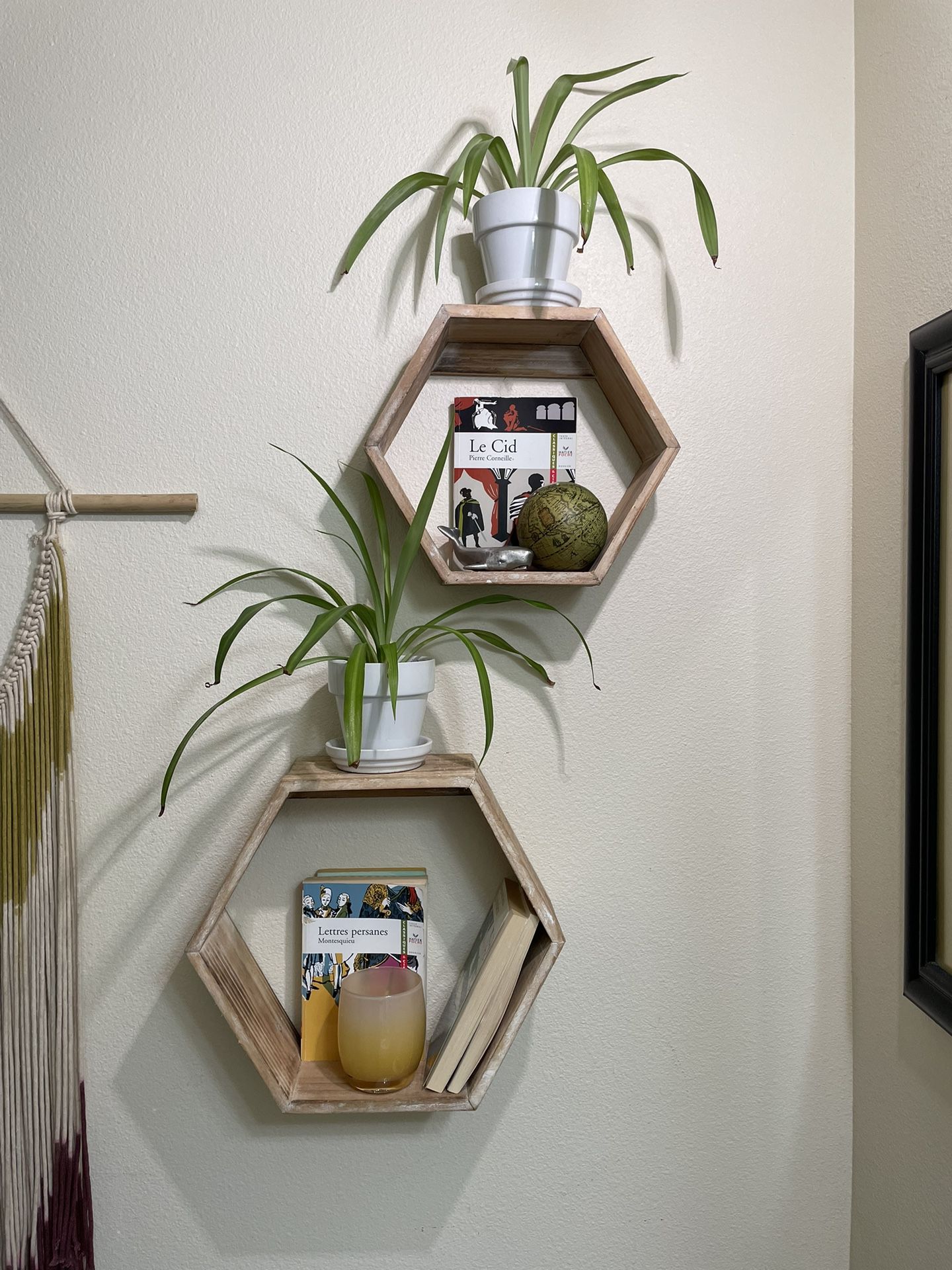 Wooden Hexagon Wall Shelves With Spider Plants 