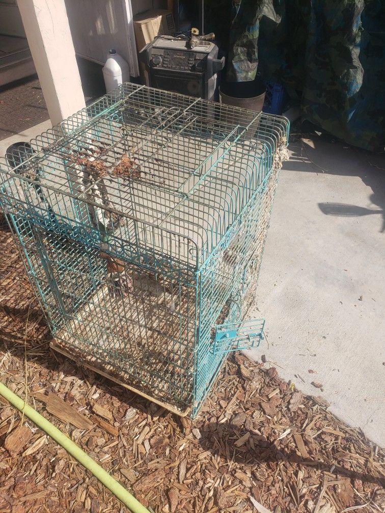 Free metal Bird Cage