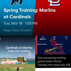 MLB Spring Training Ticket Field Box 