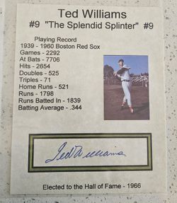Ted Williams Signed/Autographed 8x10 Statistic Photo