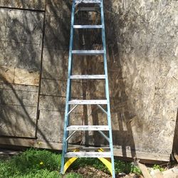 Werner 10 Ft Ladder Fiber Glass