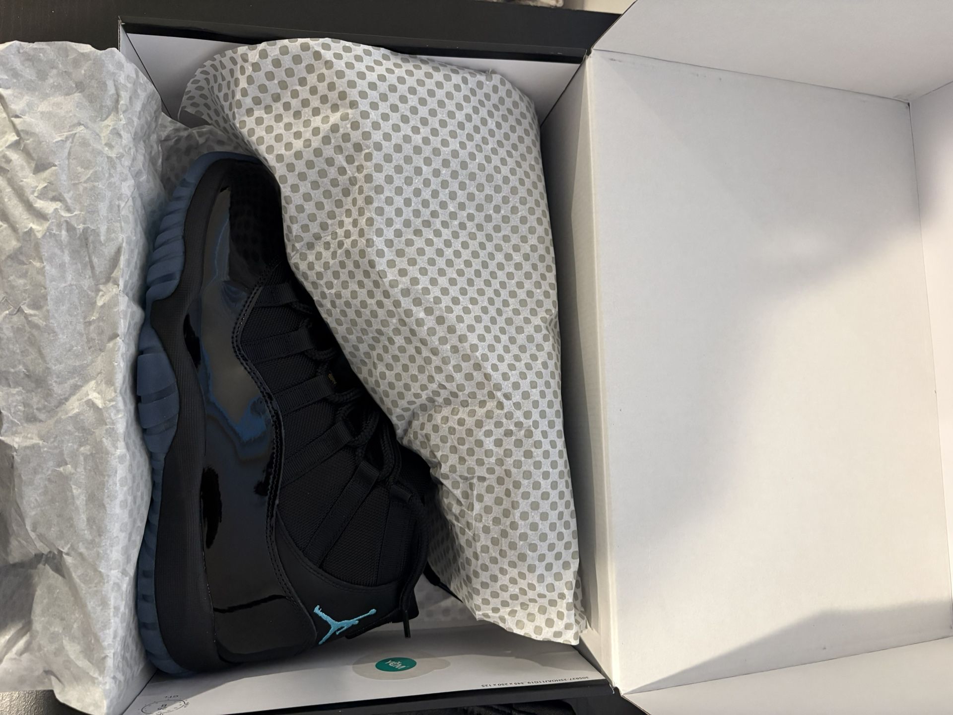 Gamma Blue 11s