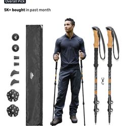 Cascade Tech Walking Stick