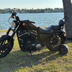 2017 Harley Davidson Sportster 883 iron
